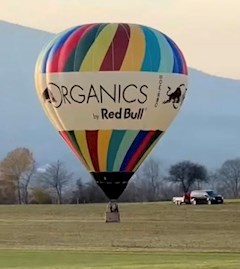 Red Bull Organics